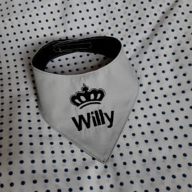 szara apaszka dla psa z czarnym imieniem willy